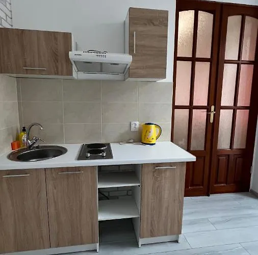 Апартаменты Moishahouse5 Kotliarska